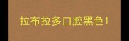 拉布拉多口腔黑色