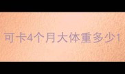 可卡4个月大体重多少
