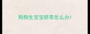 狗狗生宝宝脐带怎么办