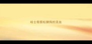 哈士奇跟松狮狗的混血