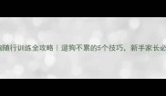 狗狗随行训练全攻略遛狗不累的5个技巧新手家长必看