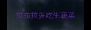 拉布拉多吃生蔬菜