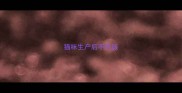 猫咪生产后不吃饭