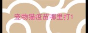 宠物猫疫苗哪里打