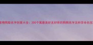 给宠物狗取名字创意大全200个寓意美好且好听的狗狗名字及科学命名技巧