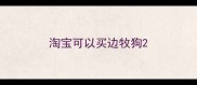 淘宝可以买边牧狗