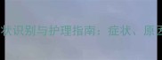 猫咪先天性贫血症状识别与护理指南症状原因及专业治疗建议