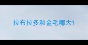 拉布拉多和金毛哪大