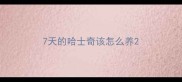 7天的哈士奇该怎么养