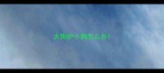 大狗护小狗怎么办