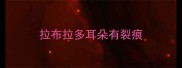 拉布拉多耳朵有裂痕