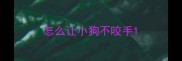 怎么让小狗不咬手