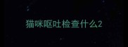 猫咪呕吐检查什么