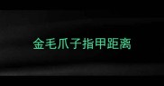金毛爪子指甲距离