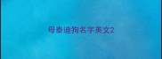 母泰迪狗名字英文