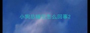 小狗总睡觉怎么回事