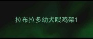 拉布拉多幼犬喂鸡架