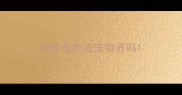 鳄鱼龟能当宠物养吗