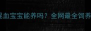 边牧和德牧混血宝宝能养吗全网最全饲养指南来了