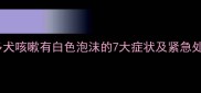 拉布拉多犬咳嗽有白色泡沫的7大症状及紧急处理指南