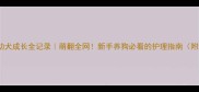 三个月金毛幼犬成长全记录萌翻全网新手养狗必看的护理指南附超全发育表