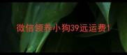 微信领养小狗39远运费