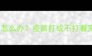 龙猫抓伤破皮怎么办疫苗打或不打看完这篇就懂了
