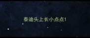 泰迪头上长小点点