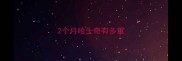 2个月哈士奇有多重