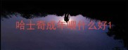 哈士奇成年喂什么好