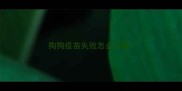 狗狗疫苗失败怎么回事