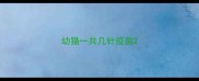 幼猫一共几针疫苗