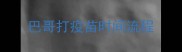 巴哥打疫苗时间流程