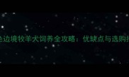 红色边境牧羊犬饲养全攻略优缺点与选购指南