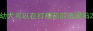 幼犬可以在打疫苗前洗澡吗