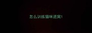 怎么训练猫咪进窝