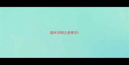 猫咪孕期注意事项