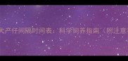 金毛母犬产仔间隔时间表科学饲养指南附注意事项