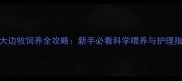 3月大边牧饲养全攻略新手必看科学喂养与护理指南