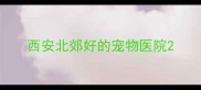 西安北郊好的宠物医院