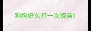 狗狗好久打一次疫苗