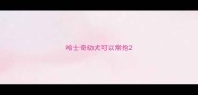 哈士奇幼犬可以常抱