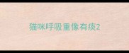 猫咪呼吸重像有痰