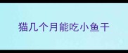 猫几个月能吃小鱼干