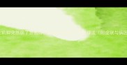 狗狗左前脚突然瘸了怎么办兽医教你5步紧急处理法附症状与病因全