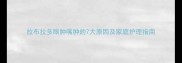 拉布拉多眼肿嘴肿的7大原因及家庭护理指南
