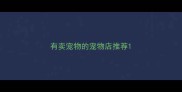 有卖宠物的宠物店推荐