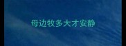 母边牧多大才安静