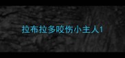 拉布拉多咬伤小主人