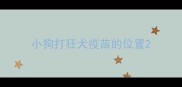 小狗打狂犬疫苗的位置
